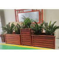 Flower / Green Plant box